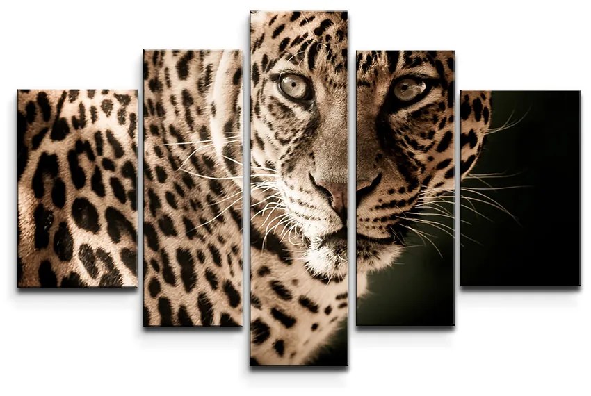 Sablio Obraz - 5-dílný Leopard - 125x90 cm