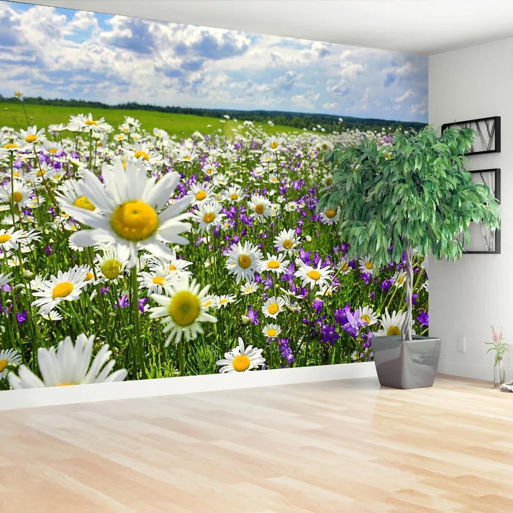 Fototapeta Vliesová Lúky a kvety 104x70 cm