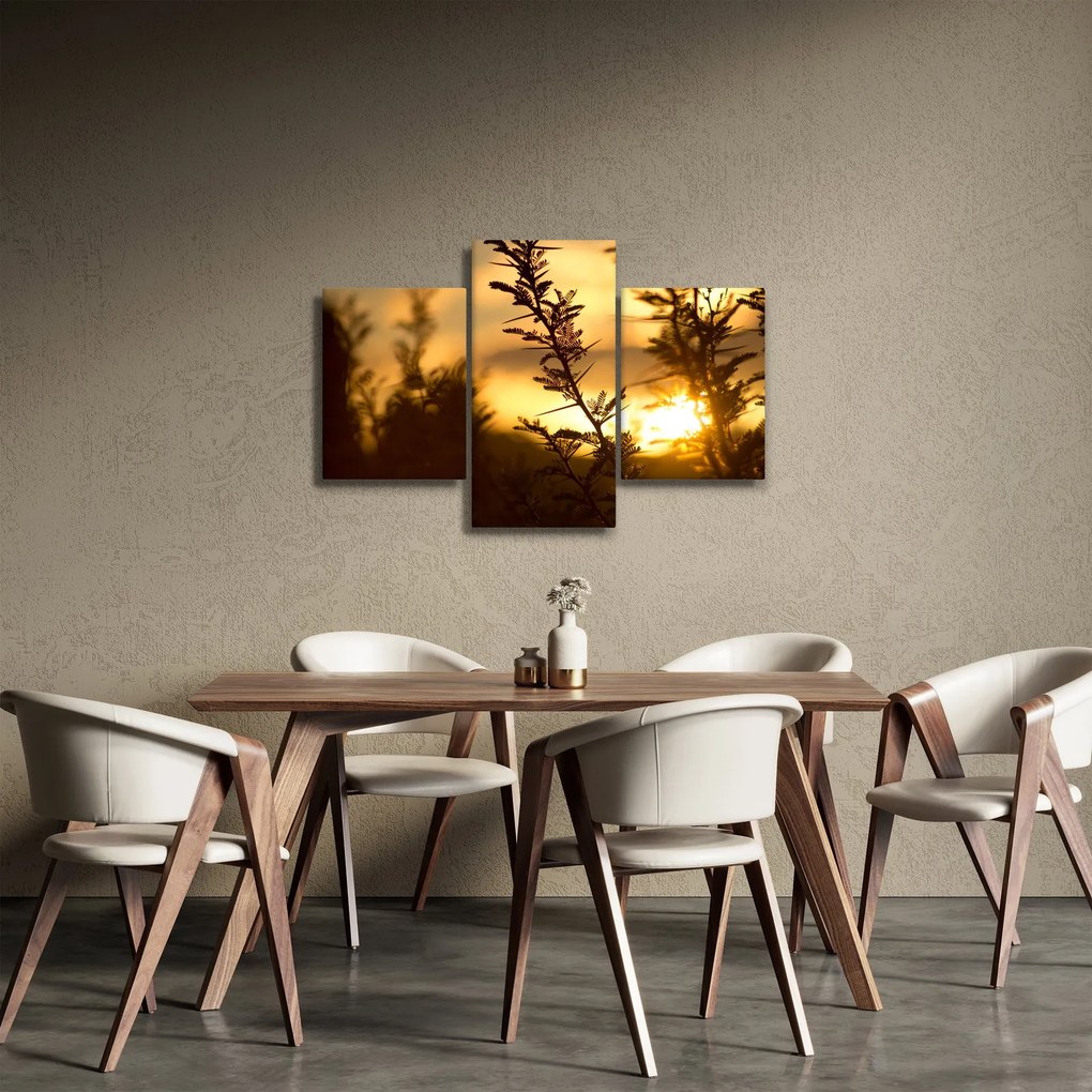 Obraz - Slnko zapadajúce za stromami (90x60 cm)