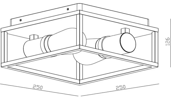 Lucide 27100/02/30 - Kúpeľňové stropné svietidlo CARLYN 2xE14/6W/230V IP54