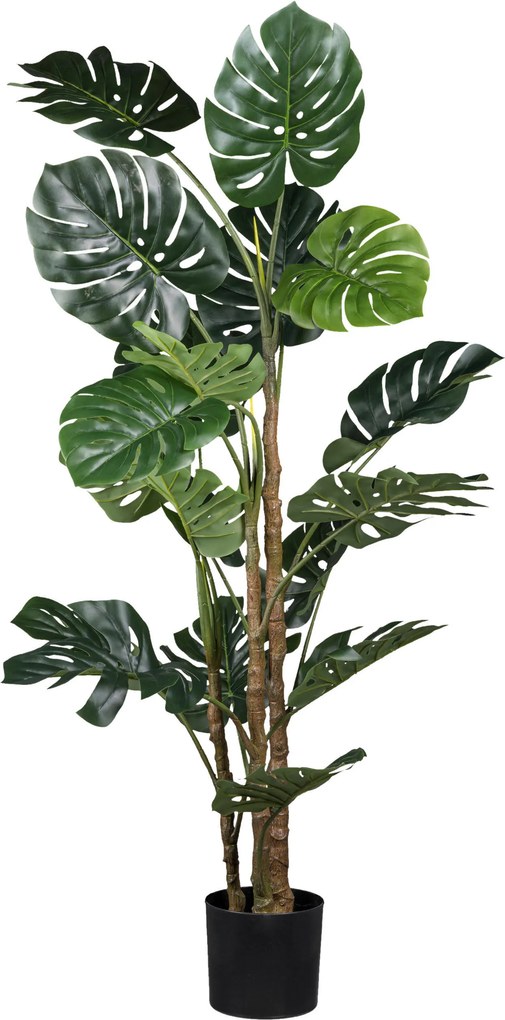 XXXLutz UMELÁ RASTLINA Split Philodendron 160 cm - Kvety & kvetináče - 004297306501
