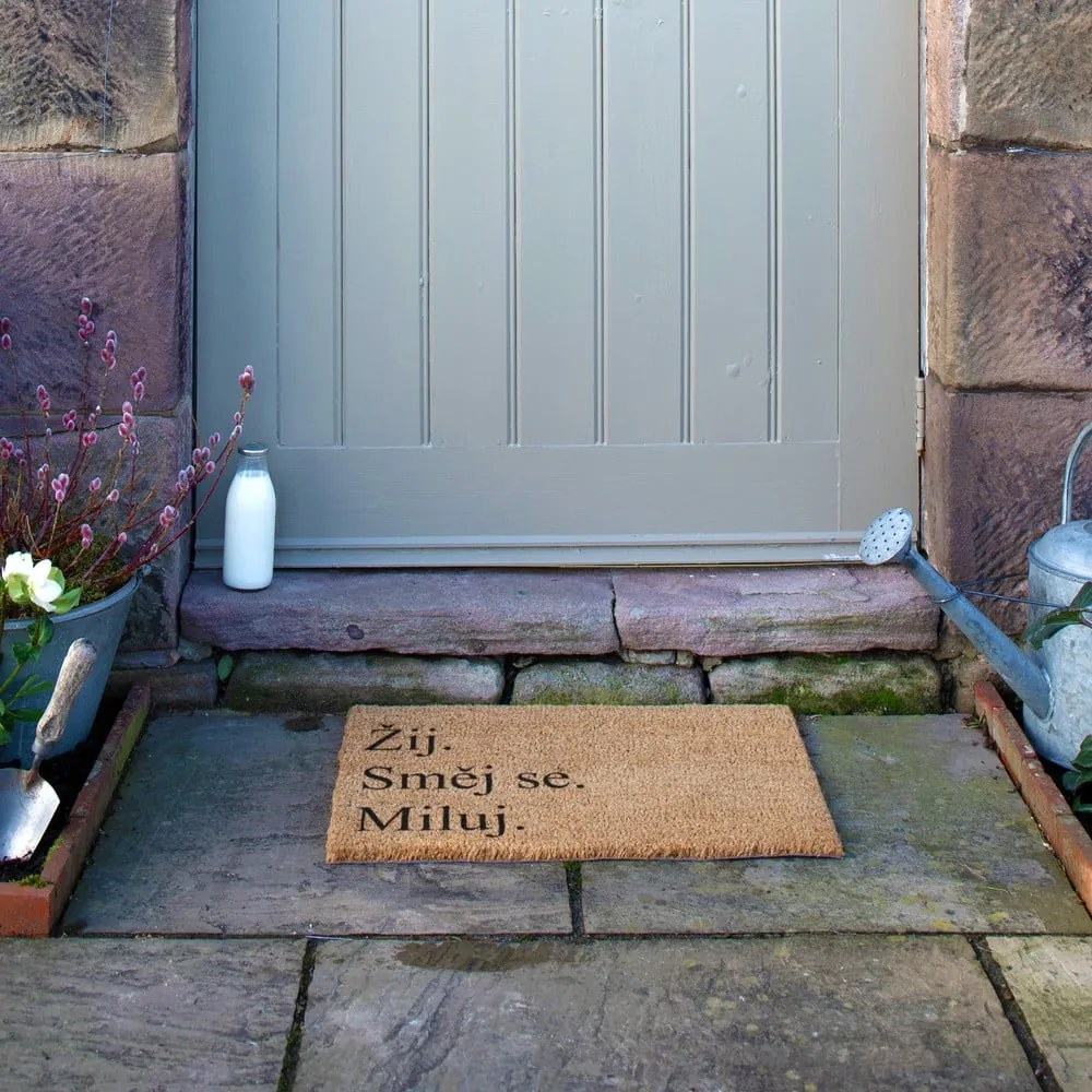 Rohožka z kokosového vlákna 40x60 cm Žij a Miluj – Artsy Doormats