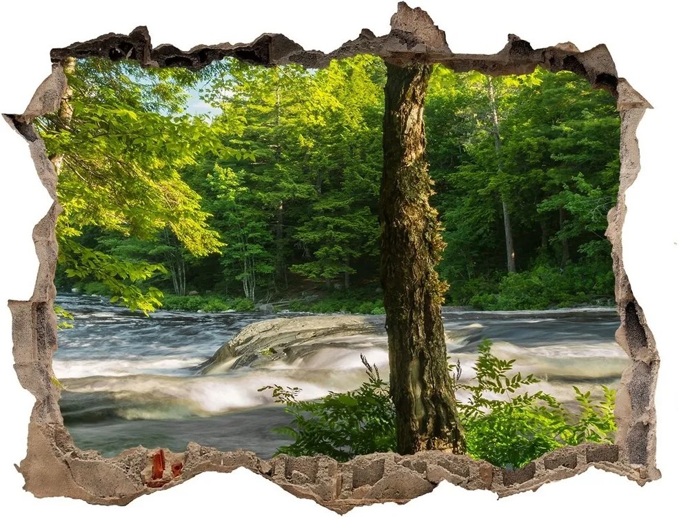 Nálepka fototapeta 3D výhled Řeka v lese WallHole-95x64-kamien-66915556