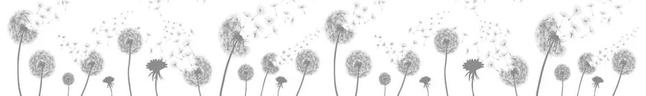 Samolepka na okno 200x40 cm Dandelions - Ambiance