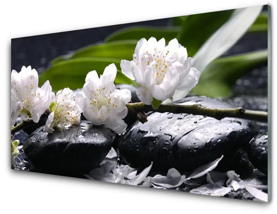 Obraz na akrylátovom skle Kvet kamene 120x60 cm