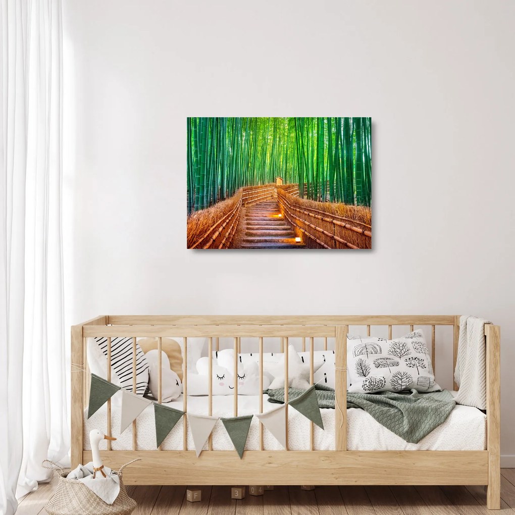 Sklenený obraz - Japonský bambusový les (70x50 cm)