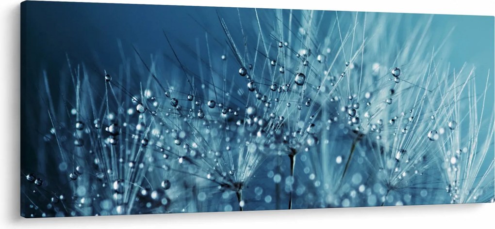 Obraz - Kvapky rosy (120x50 cm)