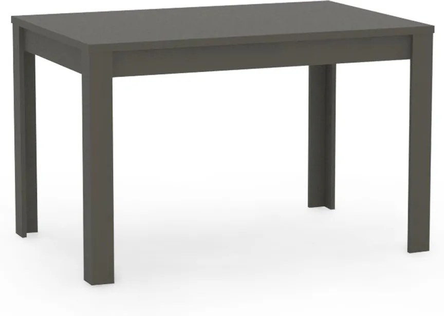 DREVONA Jedálenský stôl 120 x 80 grafit REA TABLE