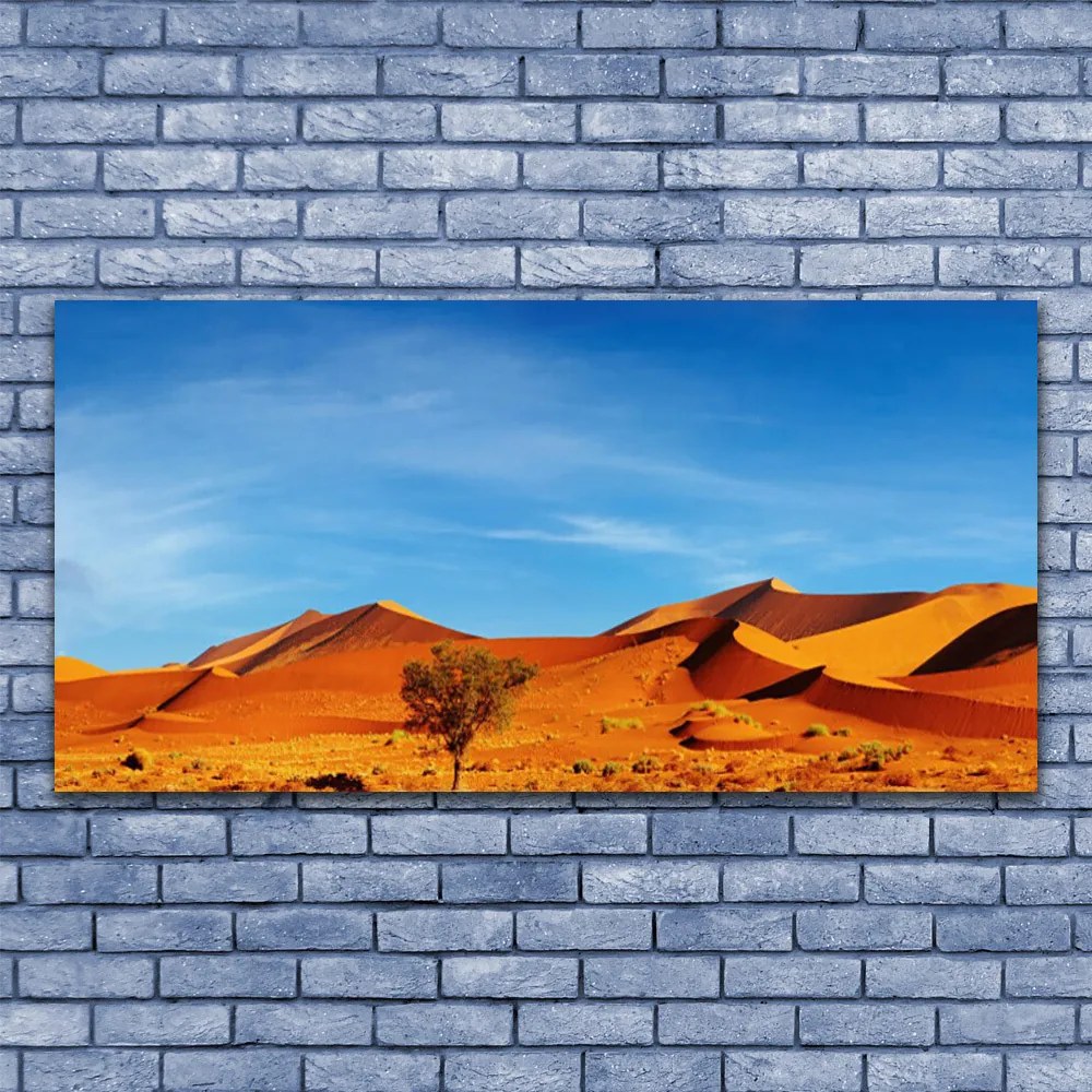 Obraz plexi Púšť krajina 120x60 cm