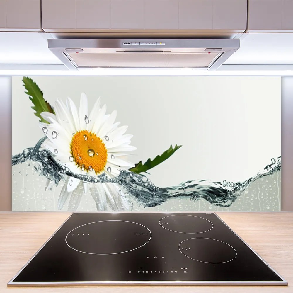Sklenený obklad Do kuchyne Sedmokráska vo vode 125x50 cm