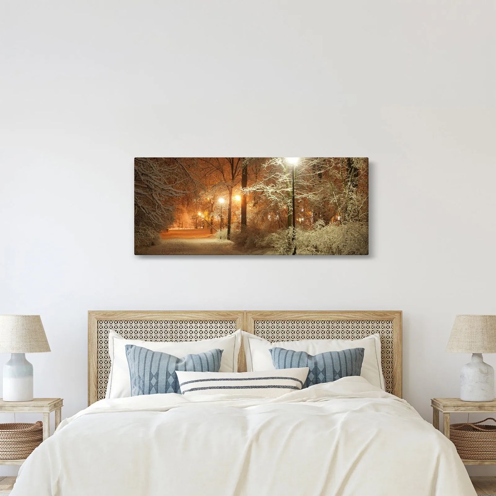 Obraz - Zasnežený park (120x50 cm)