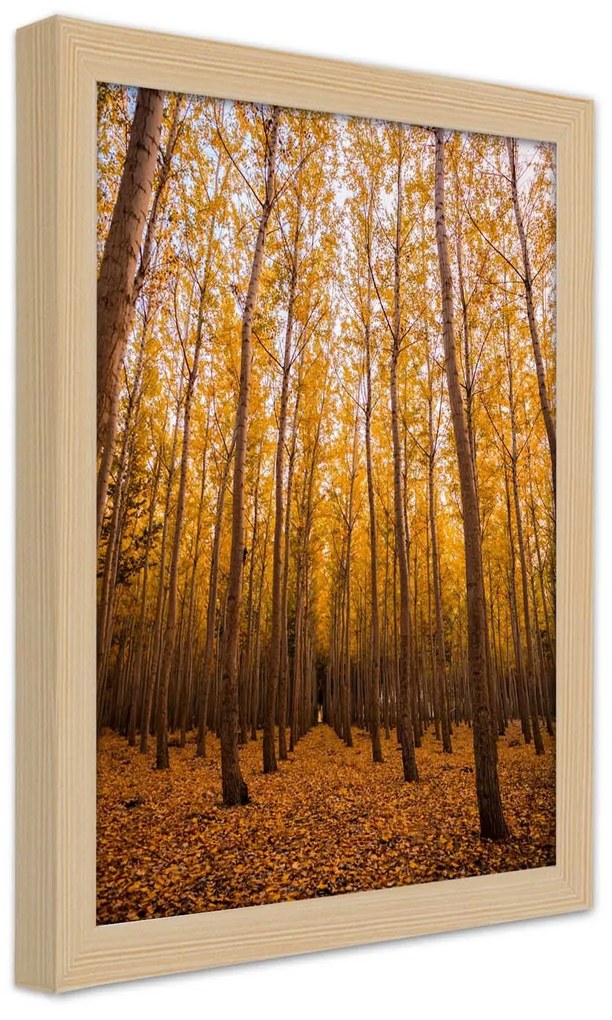 Gario Plagát Zlatý les na jeseň Farba rámu: Čierna, Rozmery: 20 x 30 cm