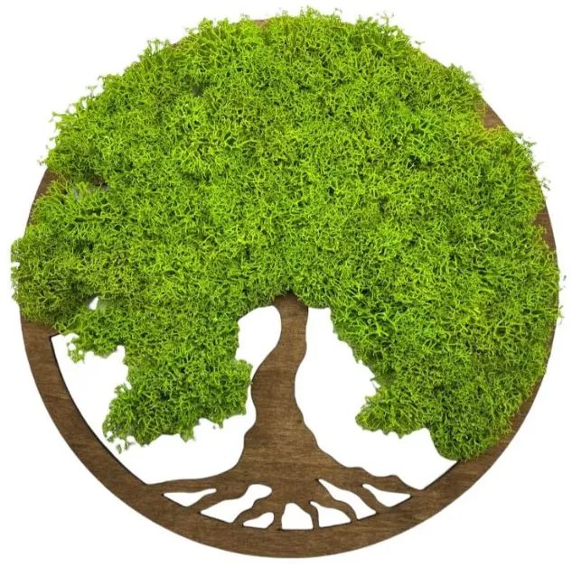 Strom na stenu z machu Gelsey 30 cm