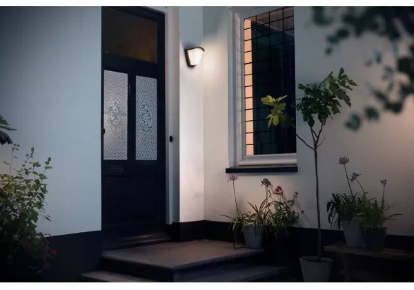 Philips 17383/93/PN - Vonkajšie nástenné svietidlo KISKADEE 1xE27/42W/230V IP44