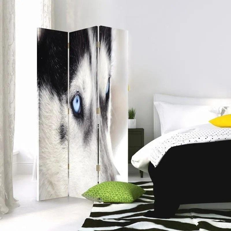 Gario Paraván Sibírsky husky Rozmery: 110 x 170 cm, Prevedenie: Klasický paraván