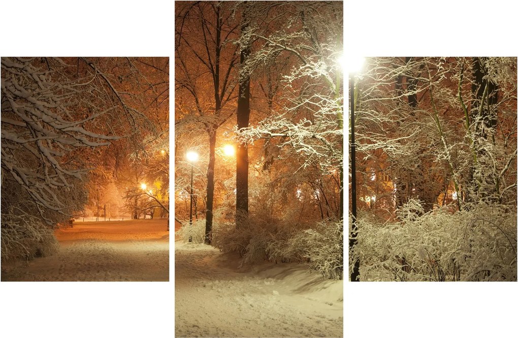 Obraz - Zasnežený park (90x60 cm)