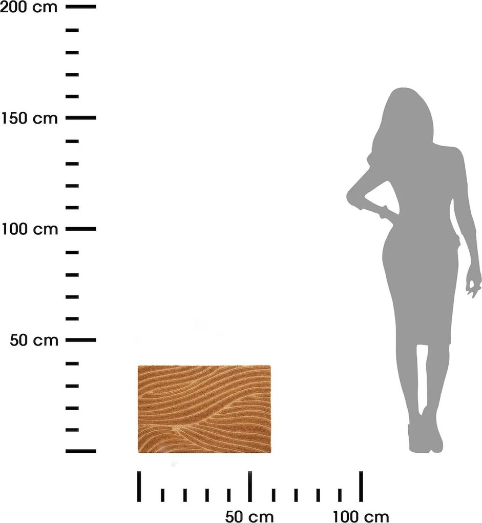 Vonkajšia rohožka Stripe 2, 60x40 cm