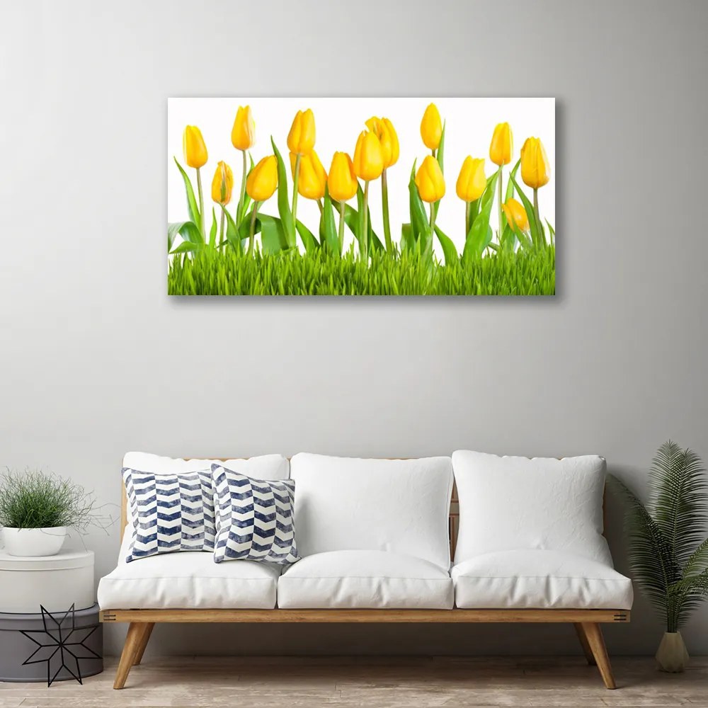 Obraz na plátne Tulipány 100x50 cm