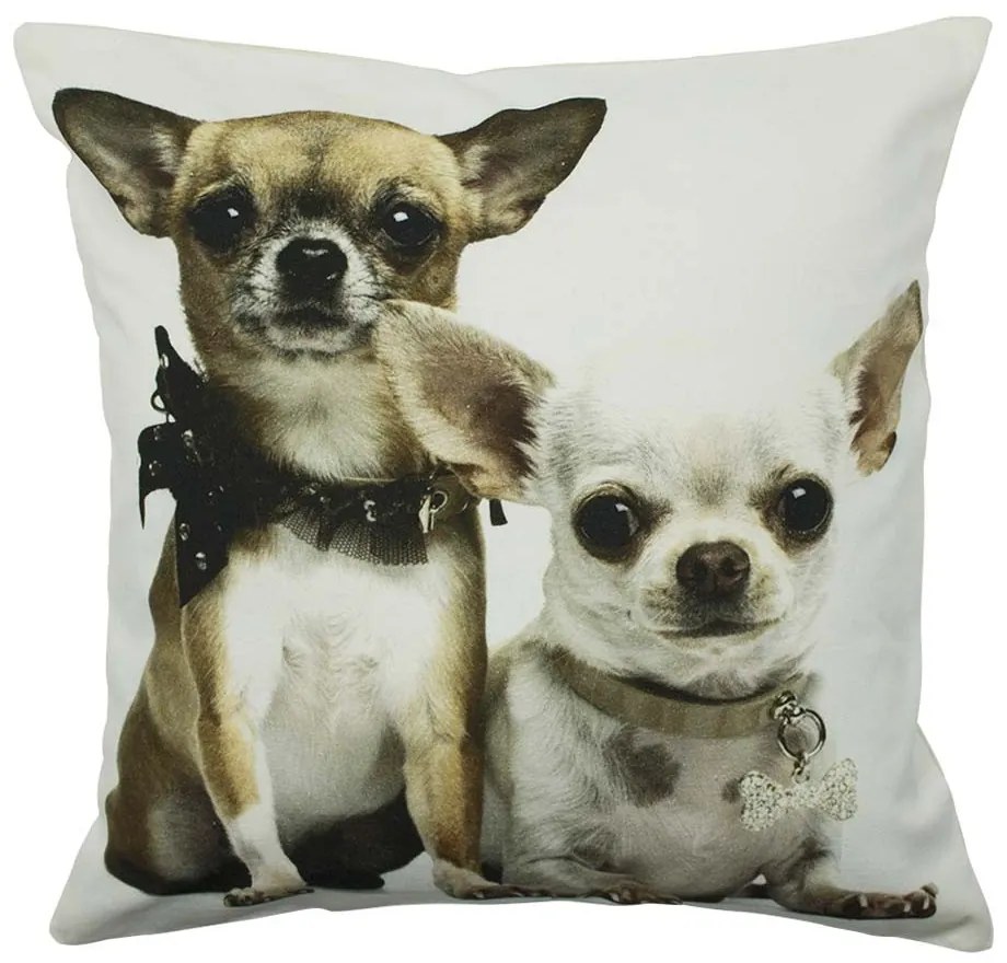 Bavlnený vankúš Čivavy 50x50 cm - 50*10*50cm