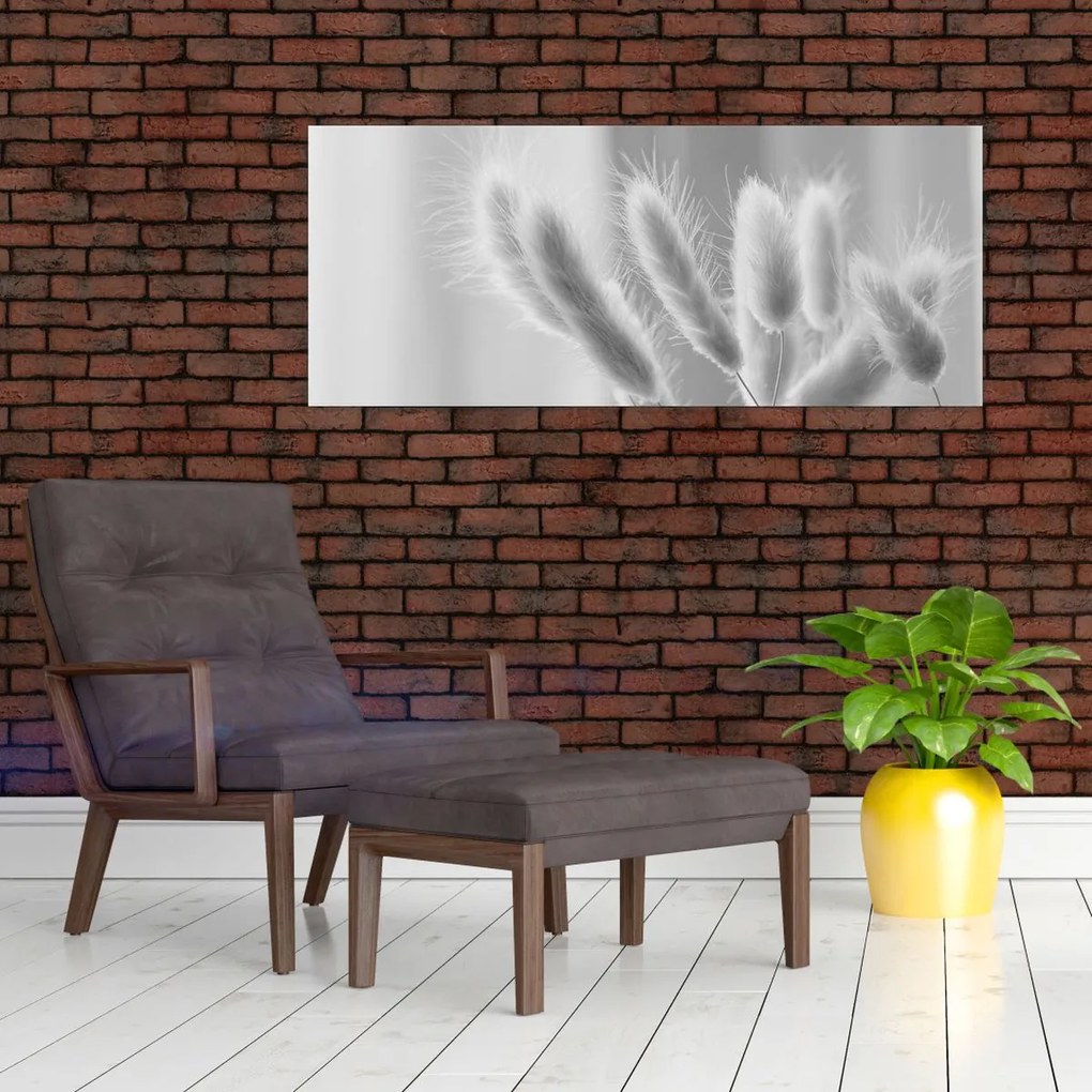 Obraz - Bunny tail grass (120x50 cm)