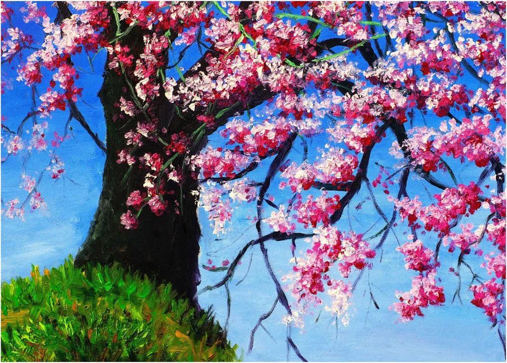 Obraz maľované rozkvitnuté čerešne (70x50 cm)