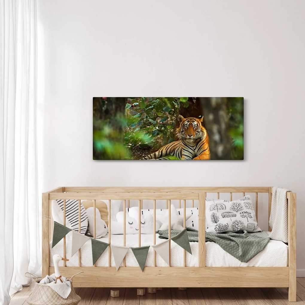 Obraz odpočívajúceho tigra (120x50 cm)