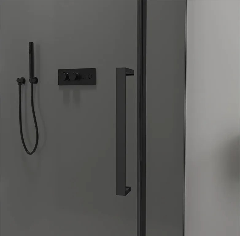 CERANO - Sprchové posuvné dvere Lantono L/P - 8 mm - Soft-Close - čierna matná, grafitové sklo - 100x195, CER-8050BD7235