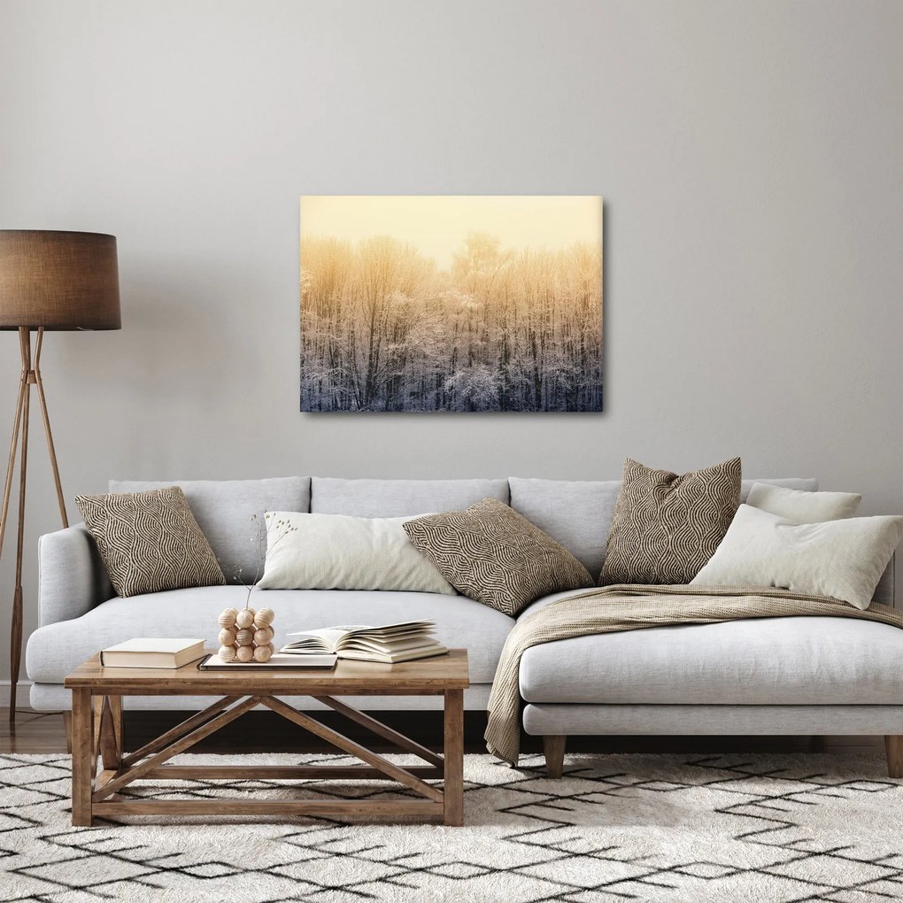 Obraz mrazivého lesa (70x50 cm)