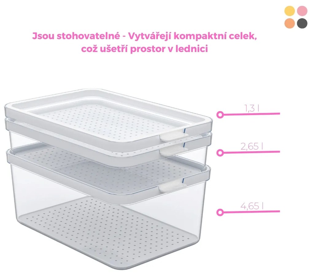 Rotho Organizér do lednice, s víkem a speciální podložkou 1,3l CAUMA