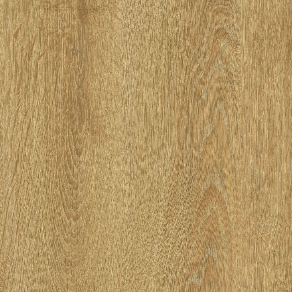 IVC Commercial, PVC podlaha - lino Logitex Ultimate 55 Elias T44, na mieru, šíře 2m,4m, hnedá, filc, chodba / predsieň