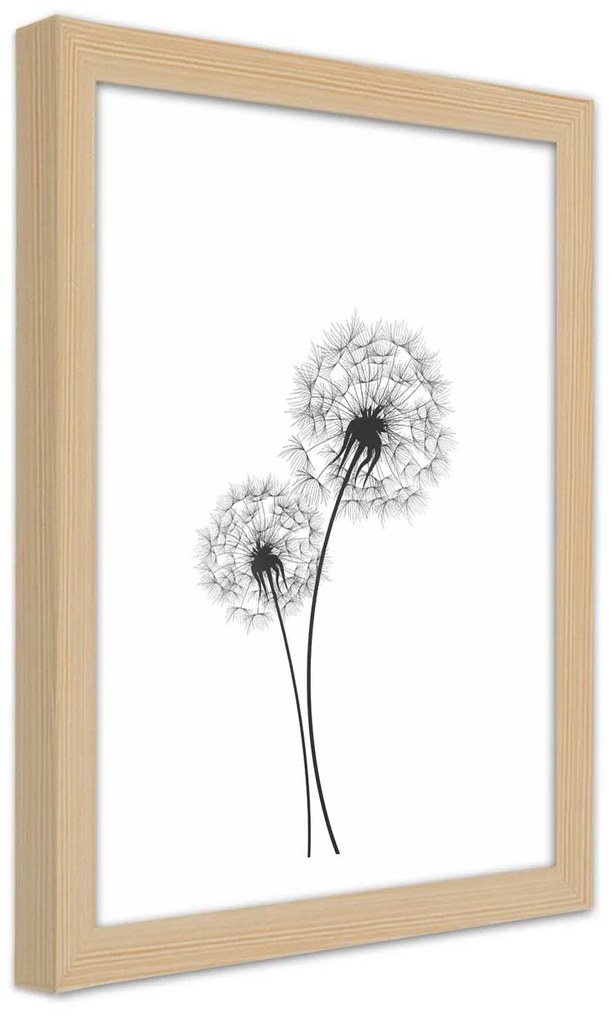 Gario Plagát Nakreslené dve púpavy Farba rámu: Bez rámu, Rozmery: 20 x 30 cm
