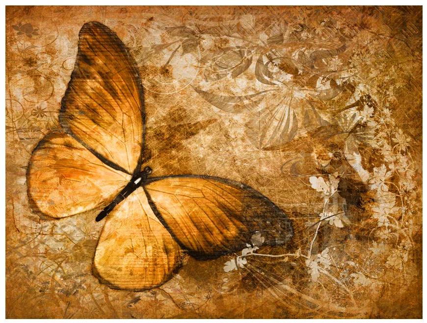 Artgeist Fototapeta - butterfly (sepia) Veľkosť: 250x193, Verzia: Standard