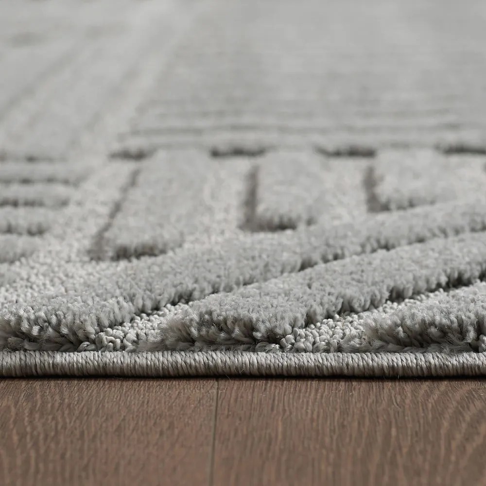 Svetlosivý koberec 160x230 cm Art – Ayyildiz Carpets