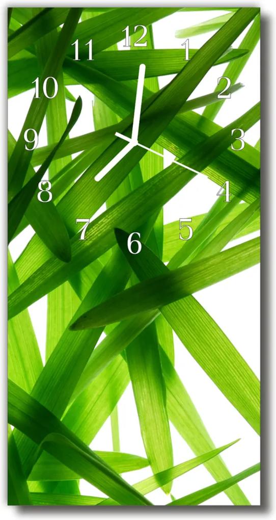 Sklenené hodiny vertikálne  Príroda Listy zelených rastlín