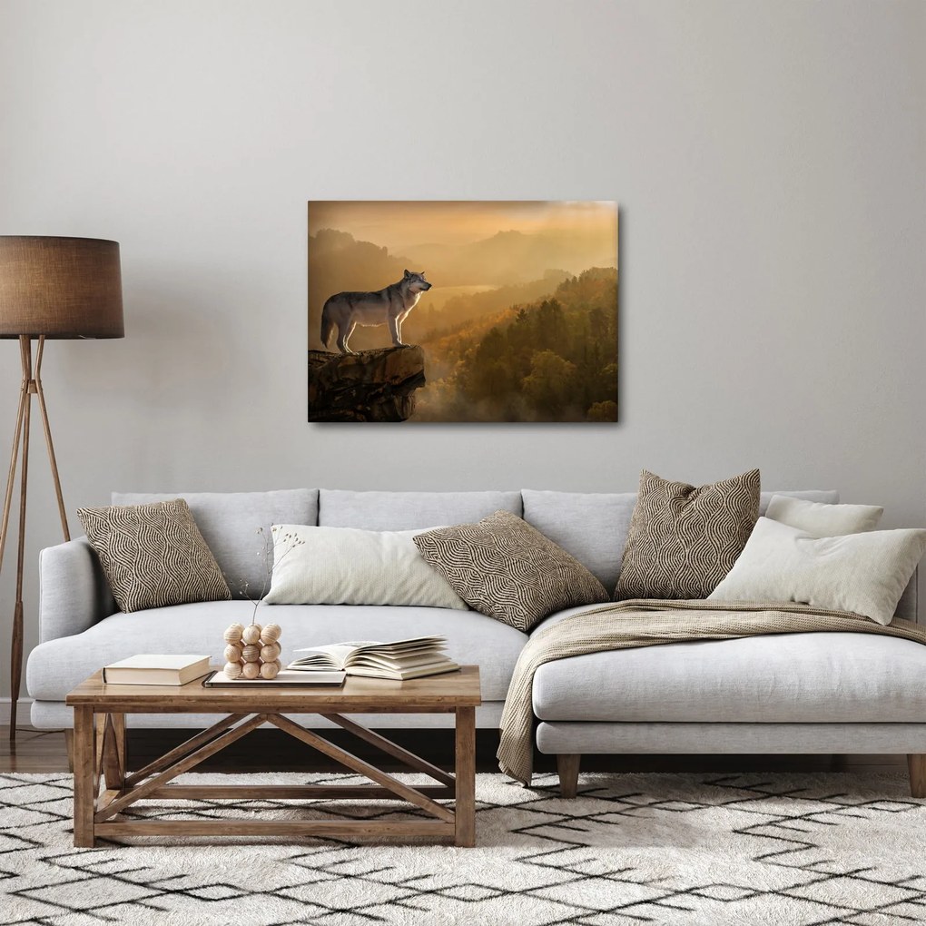 Obraz vlka na skale (70x50 cm)