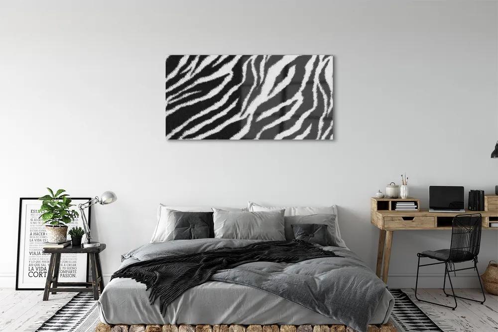Obraz na akrylátovom skle Zebra fur 125x50 cm