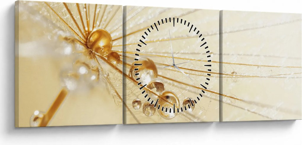 Obraz - Makro fotografie púpavy (s hodinami) (90x30 cm)