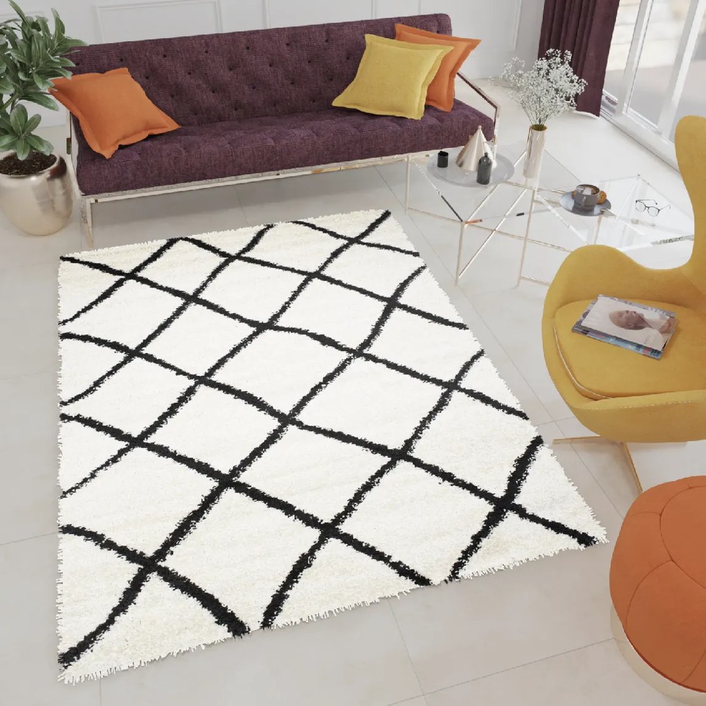 Dizajnový koberec REVA - SHAGGY ROZMERY: 300x400