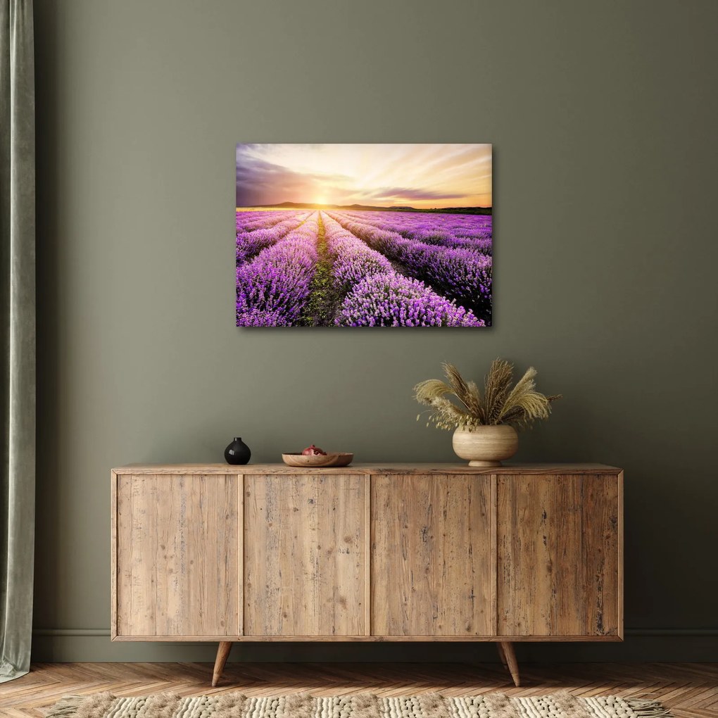Obraz - Východ slnka v levanduľovom poli (70x50 cm)