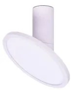 Rabalux 71328 - LED Stropné svietidlo OVIDIA LED/20W/230V 3000K biela