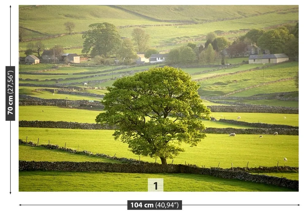 Fototapeta Vliesová Anglie derbyshire 104x70 cm