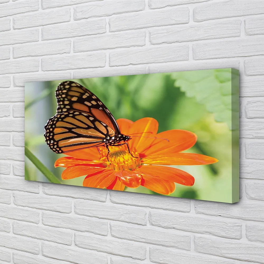 Obraz na plátne Kvet farebný motýľ 140x70 cm
