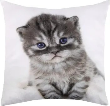 Dekoračný vankúšik Mačiatko s modrými očami, 25x25 cm%