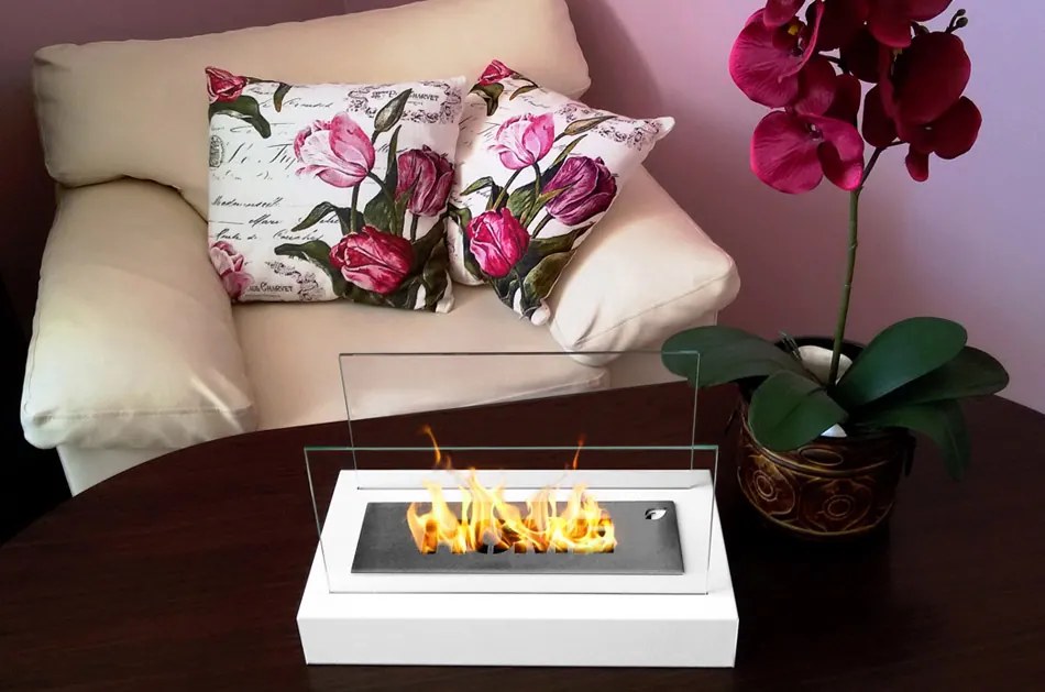 GM biokrb Home Biely