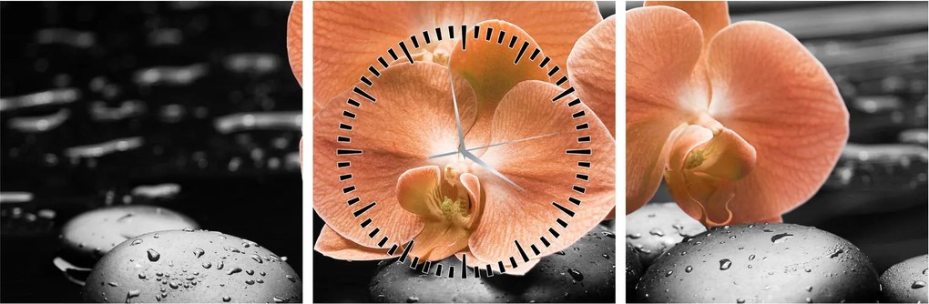 Obraz - Oranžové orchidey (s hodinami) (90x30 cm)
