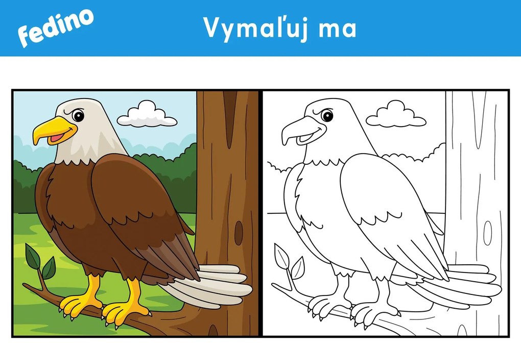 Omaľovánky – balík 2(20ks) – platený