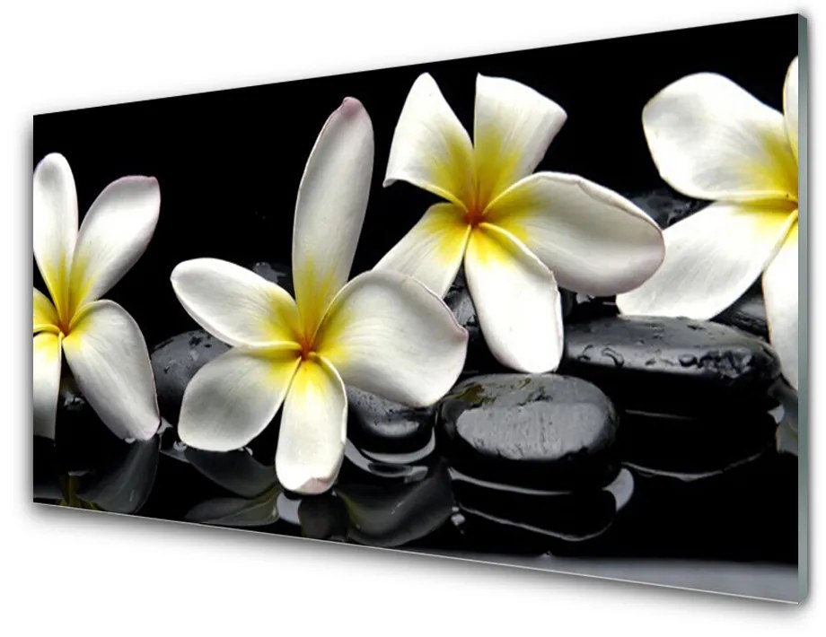 Obraz plexi Kamene kvety kúpele 120x60 cm