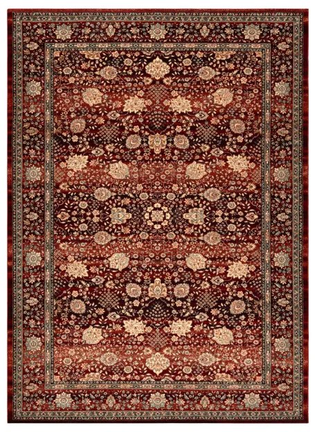 Koberec KASHQAI 4362 300 ornament, bordový / čierny