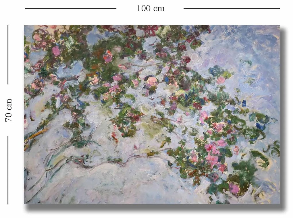 70100MONET003