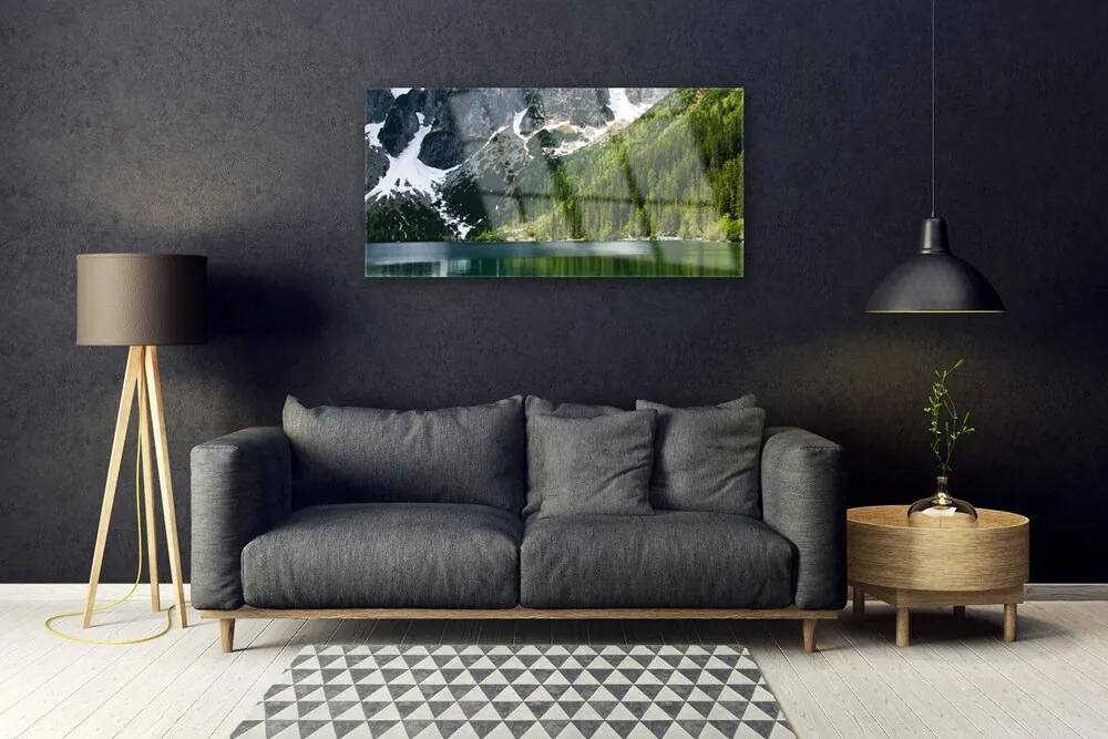 Skleneny obraz Jazero les hory príroda 100x50 cm